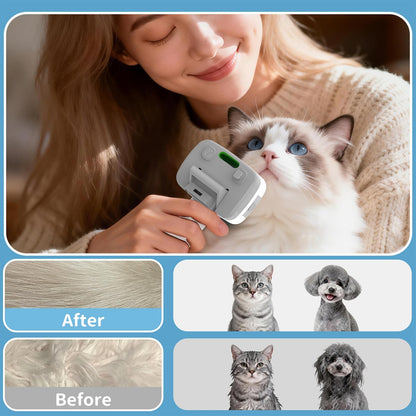Pet Steam Brush for Dogs,Self-Cleaning,3 Swap-In Heads,Spray Hair Remover